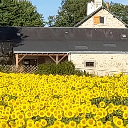 3 Self-contained With Pool And Games Hébergement de vacances