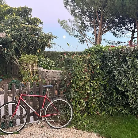 3 Self-contained With Pool And Games Saint-Georges-de-Noisné