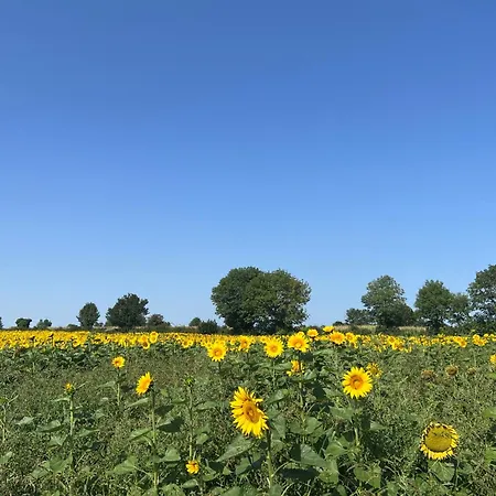 3 Self-contained With Pool And Games بيت للعطل Saint-Georges-de-Noisné