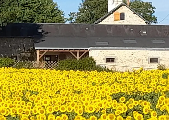 3 Self-contained With Pool And Games Vakantiehuis