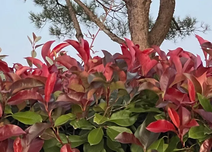 Vakantiehuis 3 Self-contained With Pool And Games Saint-Georges-de-Noisné