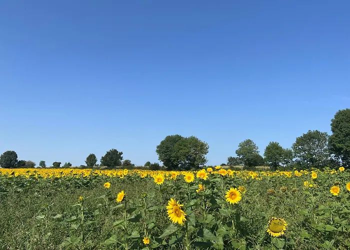 3 Self-contained With Pool And Games Vakantiehuis Saint-Georges-de-Noisné